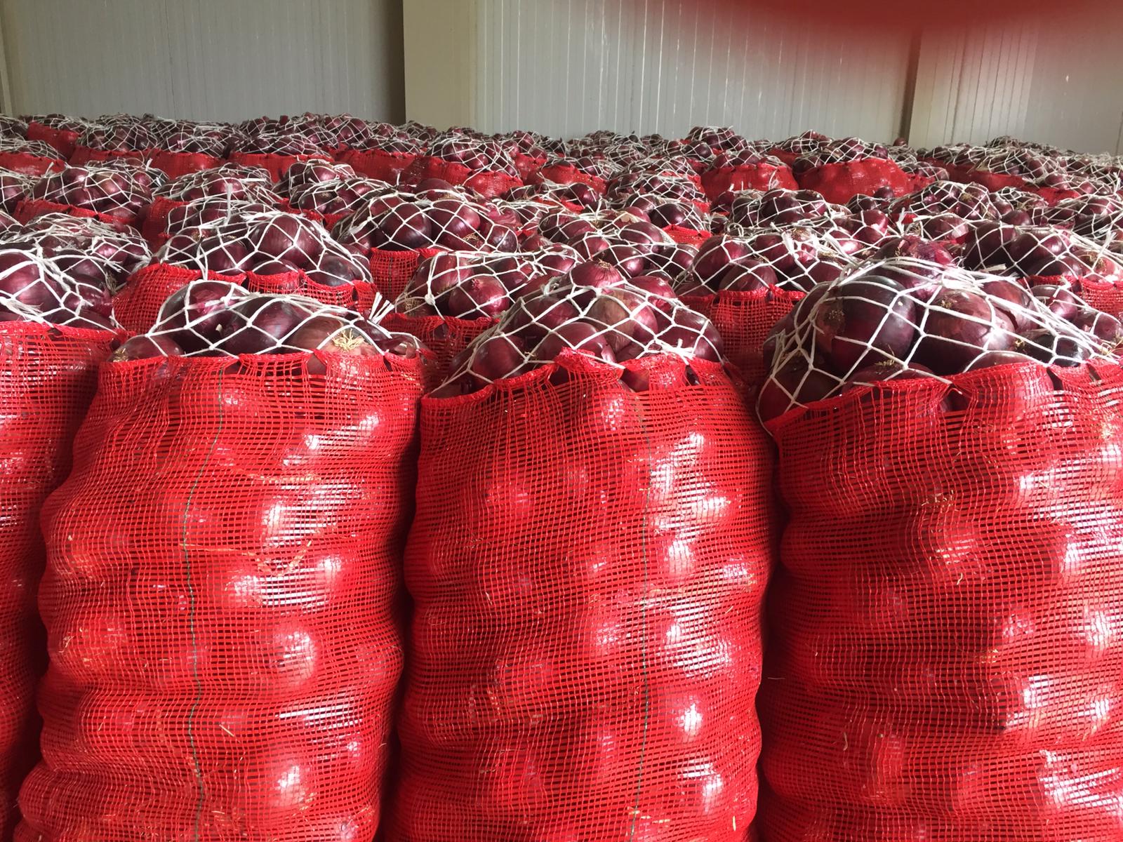 Product image - ImportTR company generally imports &exports fresh farm produce to more 15 countries. We are leading exporter of Turkish cultivated fruits and vegetables. We can provide you product as per your requirement. Offer for Red Onion packing : 20 kg mesh bag. If you are serious to buy from us, we'll be happy to supply your needs. Kindly contact : Whatsapp- +90 533 669 13 89 Email: sumar@importtr.com
